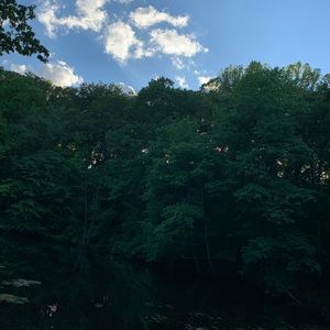 Meet your Posher, Niya